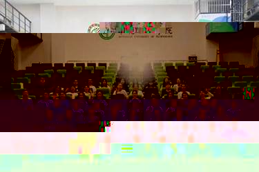 d398f8aa4e745ae64d9f2558e5080b4