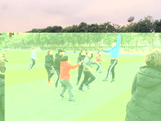 圖片包含 草, 天空, 戶外, 樹描述已自動生成